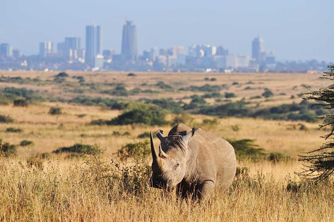 Half day Nairobi National Park Tour & Sheldrick Elephant Nursery - Why this short Nairobi safari works