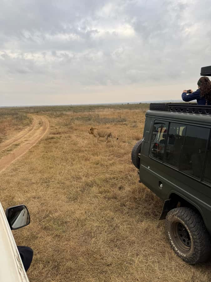 Half day Nairobi National Park with free pick up - Early pickup and the value of a ready-made plan
