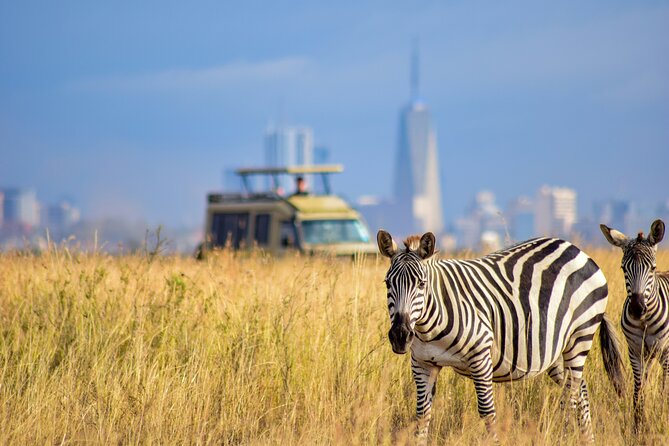 Half Day Nairobi National park - What you may see inside the park