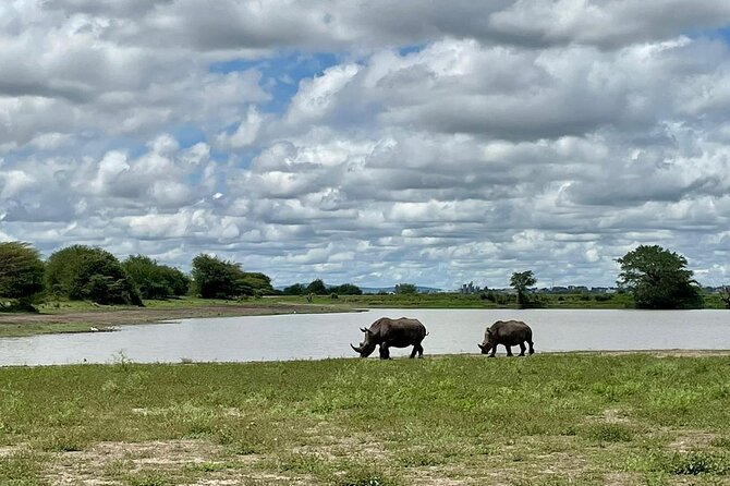 Half Day Private Tour in Nairobi National Park with Admission - The open-roof vehicle and photography