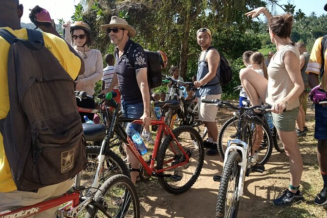 Half-Day Scenic Bike Tour - What the scenery is really like