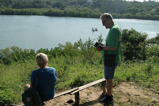 Half-Day Scenic Bike Tour - Choosing between the four routes