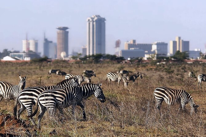 Half Day Tour To Nairobi National Park and Giraffe Center - Why Nairobi National Park Makes This Half-Day Tour Special