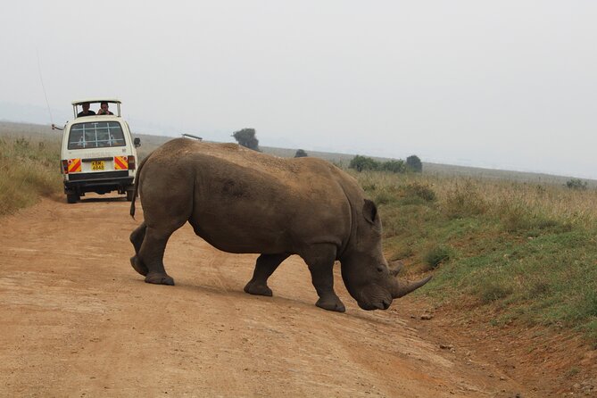 Half Day Tour To Nairobi National Park and Giraffe Center - How the $186 Price Adds Up