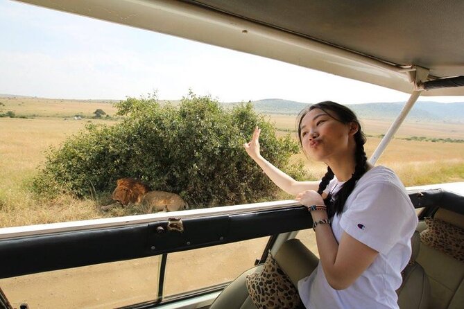Half day wildlife tour to Nairobi National Park Game Drive with Pickup/Drop off - Pickup, timing, and the shape of your day