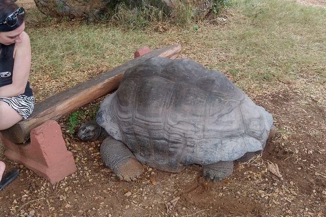 Haller Park Tour observing hippos, giraffes, birds, monkeys, crocs & others - Key points to know before you go