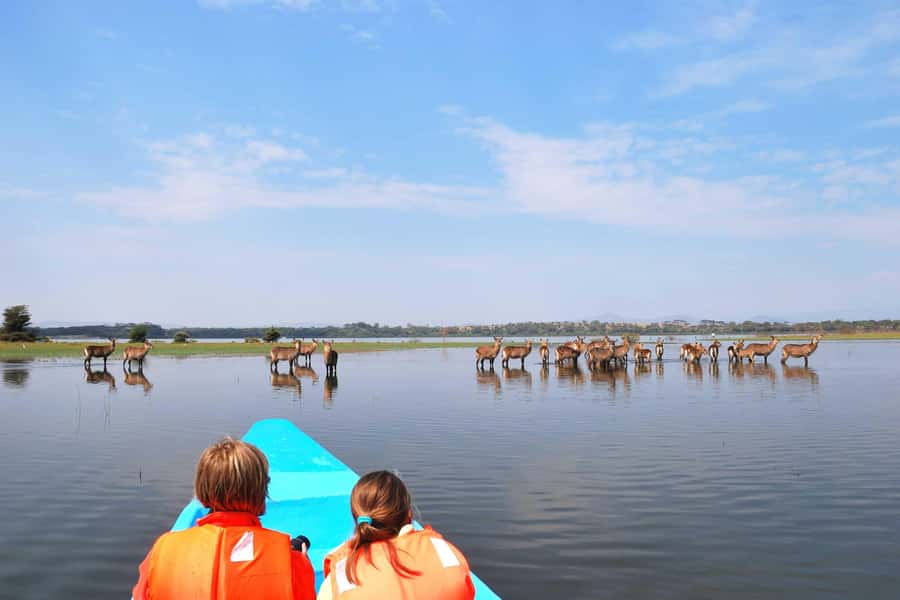 Hell's Gate and Lake Naivasha Guided Day Trip - Riding a bicycle through Hell’s Gate National Park