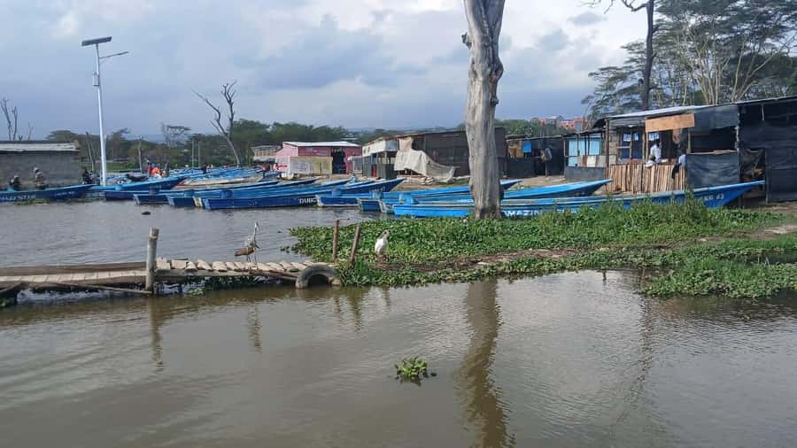 Hell's Gate Bike Ride & Crescent Island Boat Ride Experience - The Great Rift Valley viewpoint starts the day