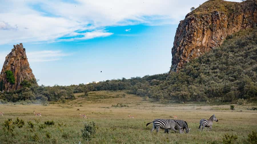 Hell's Gate & Lake Naivasha: Bike Tour, Hike & Boat Ride - Why Hells Gate feels different from a regular safari