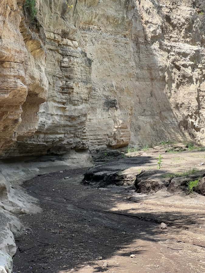 Hell's Gate & Lake Naivasha: Bike Tour, Hike & Boat Ride - Cycling beside zebras and gazelles