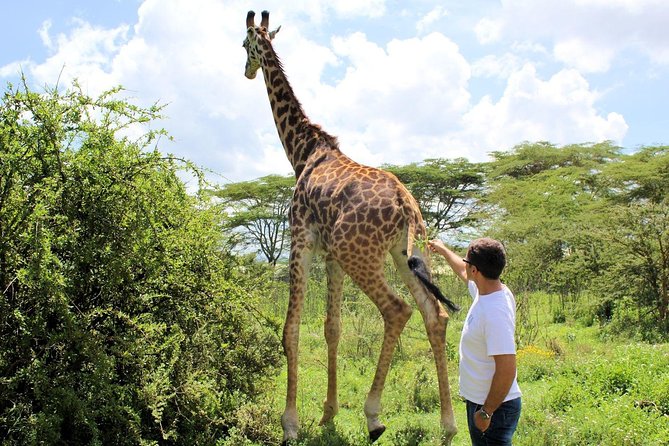 Hell's Gate & Lake Naivasha Small Group Day Tour - Guaranteed Daily Departure - Lake Naivasha and the optional USD 20 boat ride