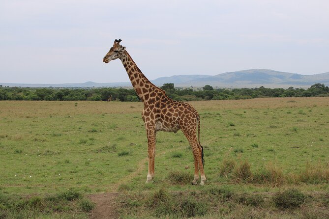 Hell's Gate National Park Private Bike Tour from Nairobi - Walking through the gorges at 11am