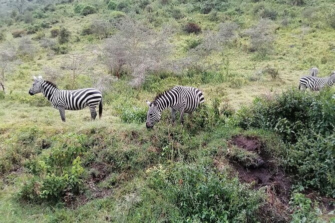 Hell's Gate National Park Private Bike Tour from Nairobi - Is $125 a fair price from Nairobi?