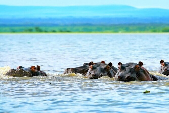 Hell's Gate Park and Lake Naivasha Day Tour - Why Hell’s Gate works so well as a Nairobi day trip