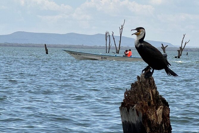 Hell's Gate Park and Lake Naivasha Day Tour - The Great Rift Valley drive and the Mount Longonot viewpoint