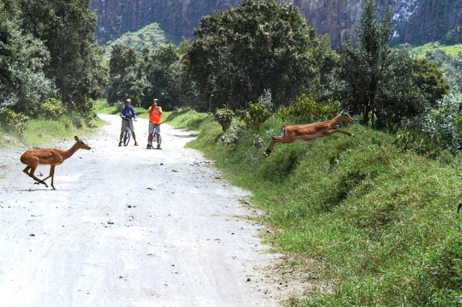 Hells Gate Excursion in Naivasha - Maasai and World Rally stories along the way