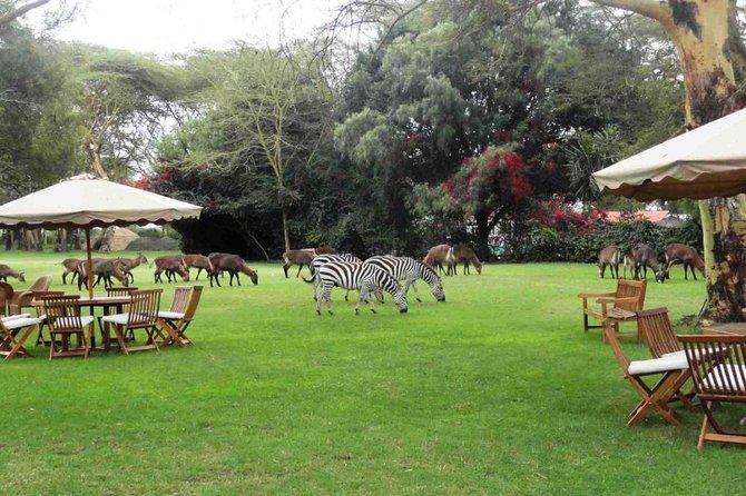 Hells Gate Excursion in Naivasha - The Lake Naivasha boat ride