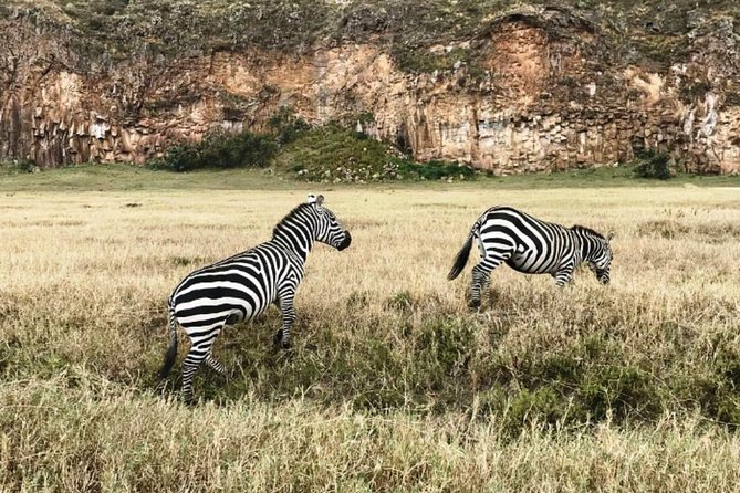 Hells Gate Excursion in Naivasha - Who will enjoy this day most