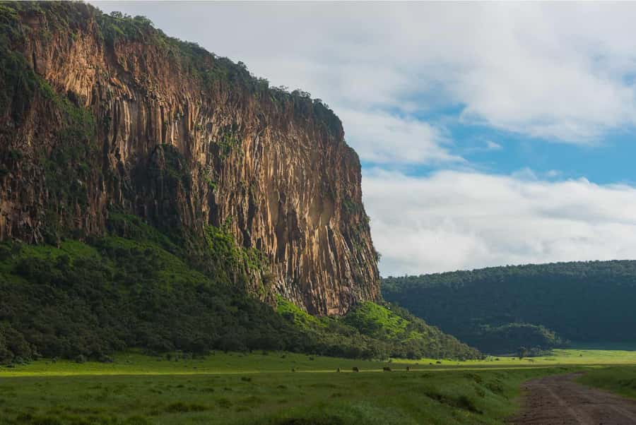 Hells Gate National Park and Lake Naivasha Day Tour - Why Hell’s Gate makes a different kind of safari