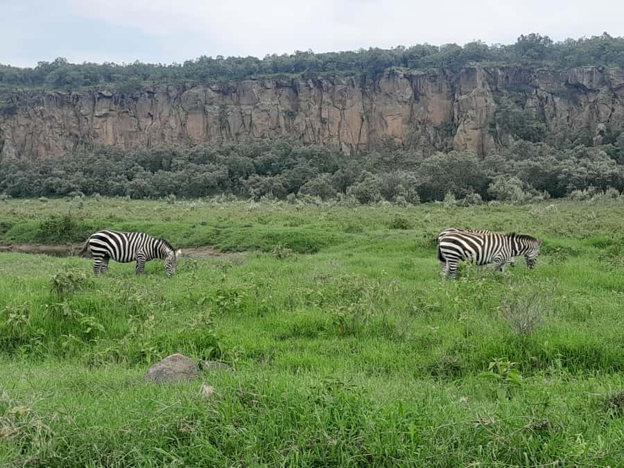 Hells Gate National Park and Lake Naivasha Day Tour - The Great Rift Valley stop adds useful context