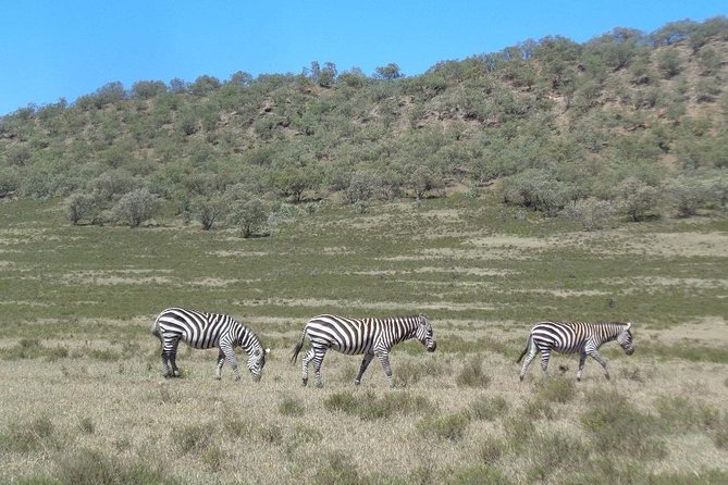 Hells Gate National Park Day Trip - Walking, cycling, or driving through Hells Gate