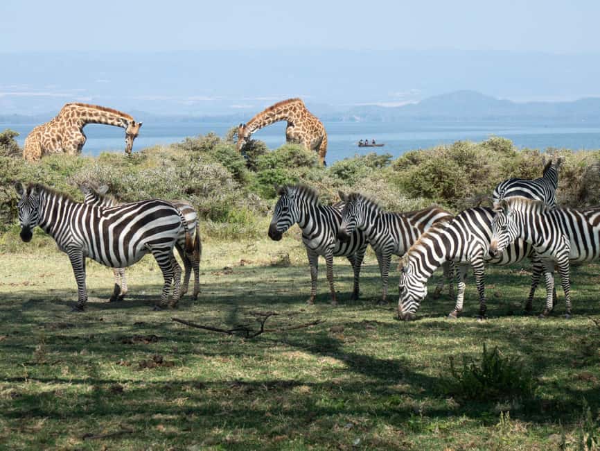 Hellsgate and Lake Naivasha Day Trip from Nairobi - Walking among animals at Crescent Island