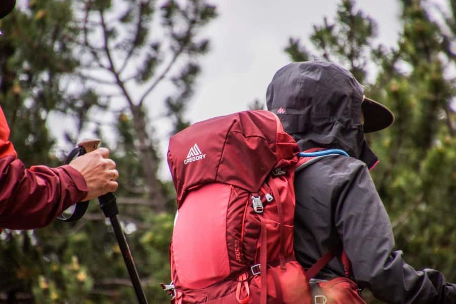 Hike in The Karura Forest - A forest escape from Nairobi’s city noise