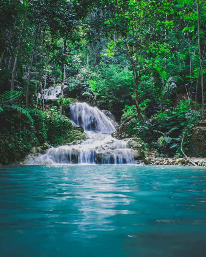 Hike in The Karura Forest - The waterfall and caves add real variety