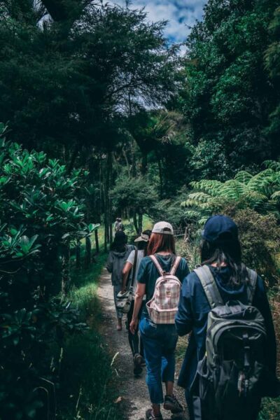 Hike in The Karura Forest