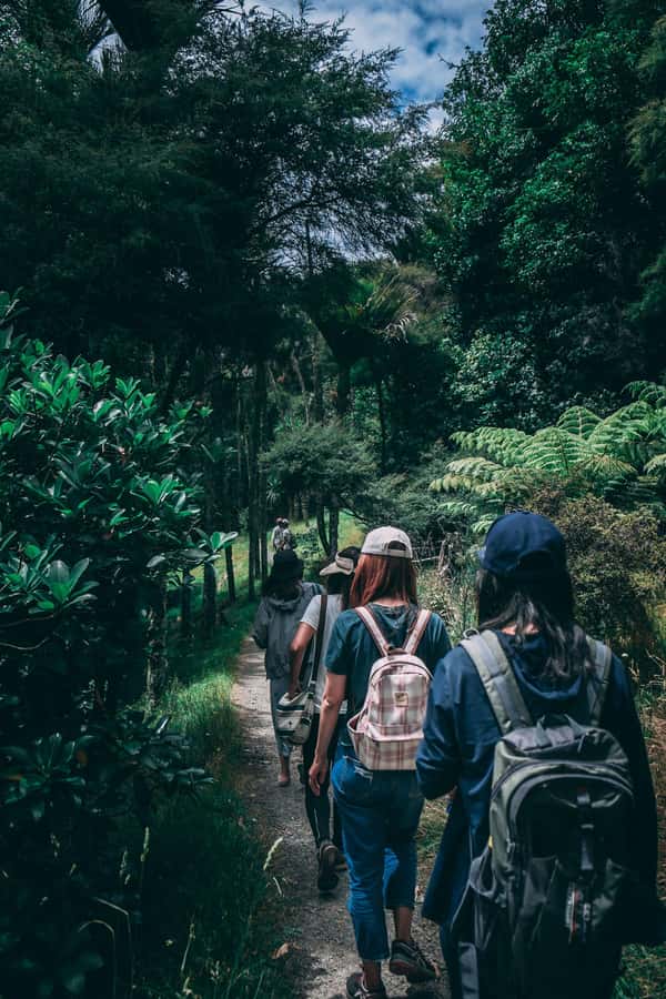 Hike in The Karura Forest - Following the shaded trails