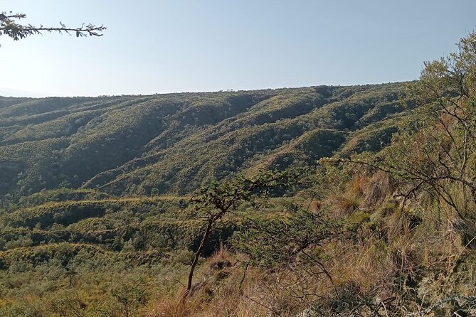Hiking Trip to Mount Longonot National Park & Lake Naivasha - Why This Nairobi Day Trip Works