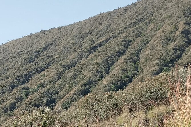 Hiking Trip to Mount Longonot National Park & Lake Naivasha - Food, Timing, and What to Carry