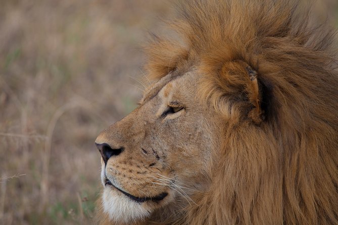 Introducing Kenya Safari Package - Who will get the most from this safari
