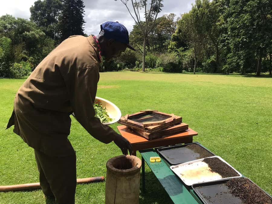 Kaimbethu tea farm tour and lunch package - Why a tea farm makes a good Nairobi day trip