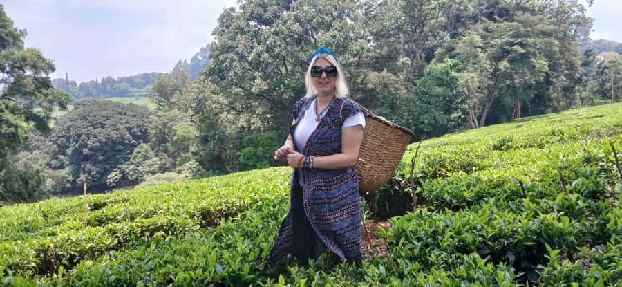 Kaimbethu tea farm tour and lunch package - Hearing Kiambethu’s tea story