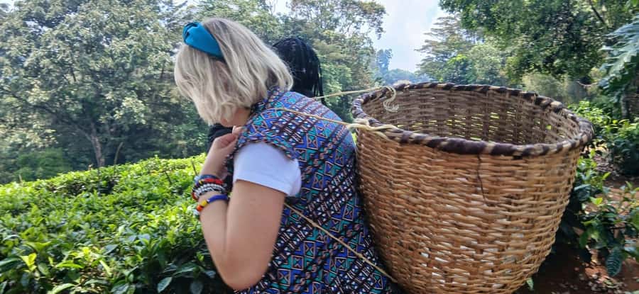 Kaimbethu tea farm tour and lunch package - The lunch is more than a token meal
