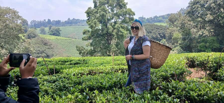 Kaimbethu tea farm tour and lunch package - Practical details before you book