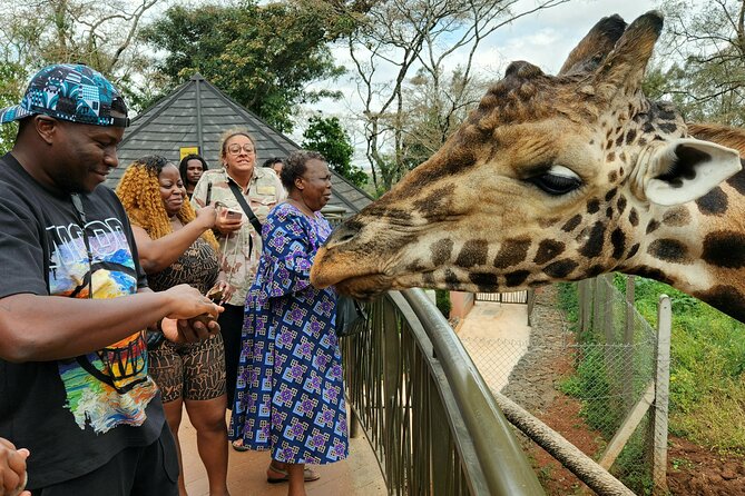 Karen Blixen Museum, Beads craft and Giraffe Day tour - What your $90 covers