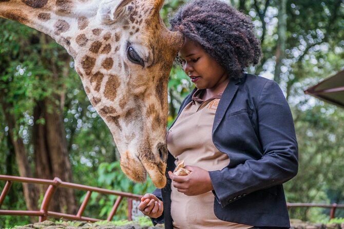 Karen Blixen Museum & Giraffe Centre Half day tour - The value of guides such as Paul, Julius, Lillian, and Chris