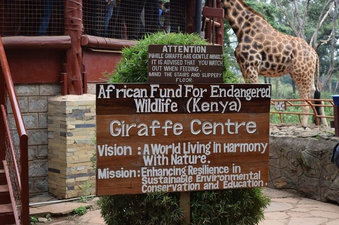 Karen Blixen Museum & Giraffe Centre Half day tour - Is $98.16 a fair price?