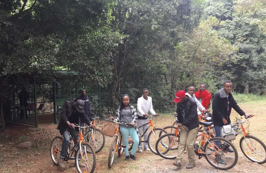Karura forest A walking tour from Nairobi - What the short duration means for your day