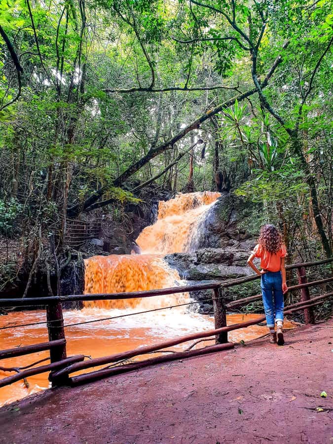 Karura forest A walking tour from Nairobi - Walking toward Karura Falls