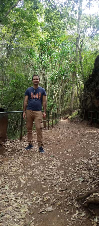 Karura forest: A walking tour into Nairobi's Nature Oasis - Key points at a glance