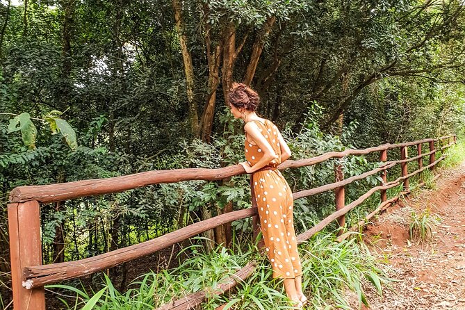 Karura Forest Hiking and Bike Tour - Key points to know before booking