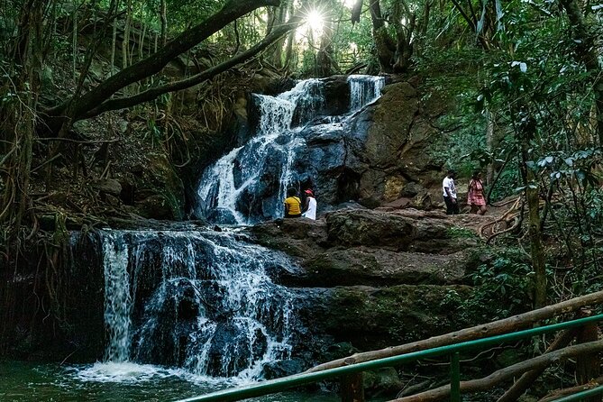 Karura Forest Hiking and Bike Tour - Why Karura Forest works so well for a half-day outing