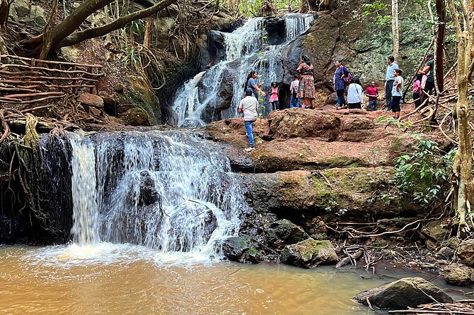 Karura Forest Nature Trail - Key points to know before booking