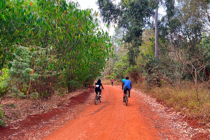 Karura Forest Nature Trail - Why Karura Forest makes a good Nairobi outing