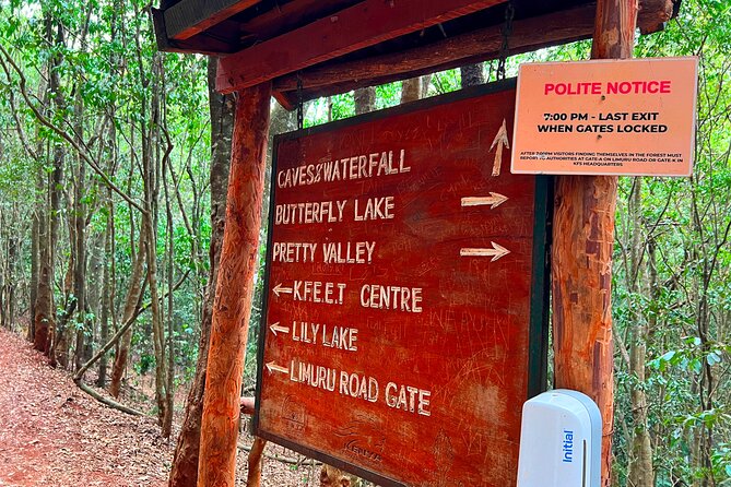 Karura Forest Nature Trail - The waterfall and caves are the heart of the visit