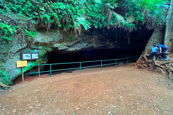 Karura Forest Nature Trail - Water, dogs, and other ways to use the forest