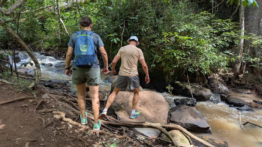 Karura Forest: Walking tour with Nature and Waterfalls. - Two waterfalls and the best photo pauses